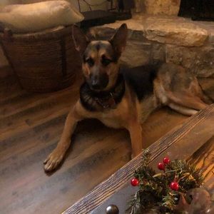 Meet your Posher, Dalton